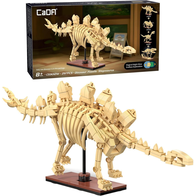 CaDA Dinosuar Fossils: Stegosaurus