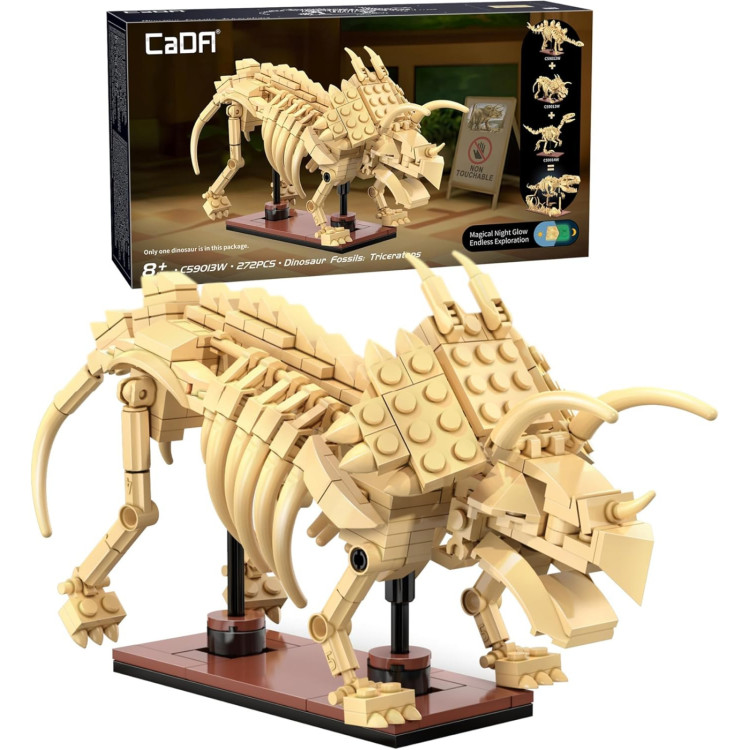 CaDA Dinosuar Fossils: Triceratops