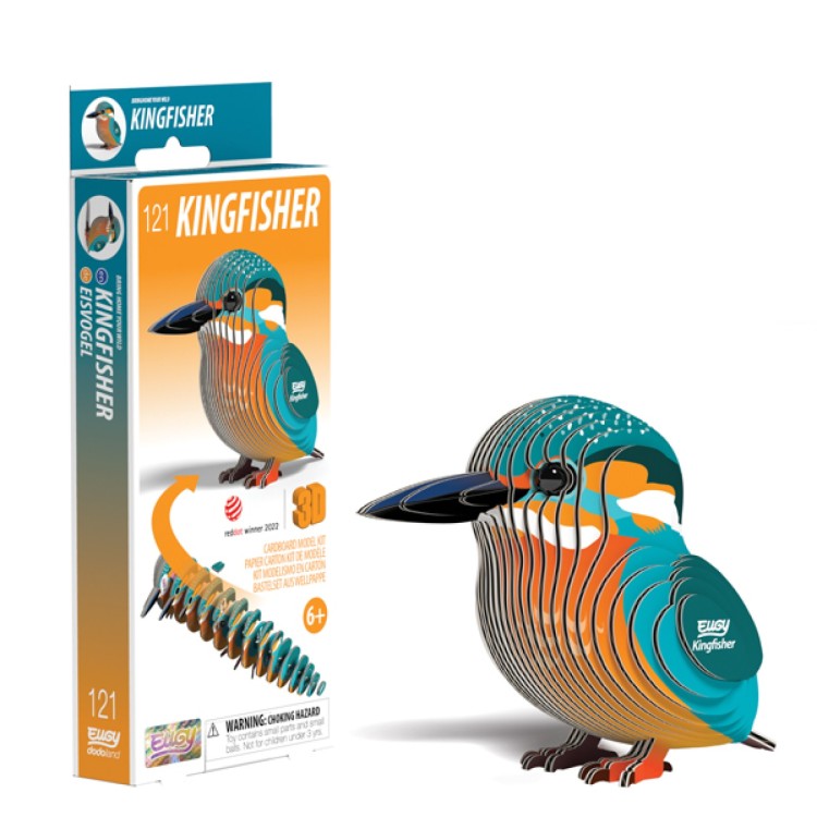 Eugy Kingfisher 3D Model