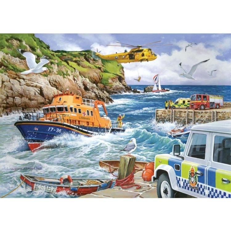 House of Puzzles Rescue 1000pc Puzzle