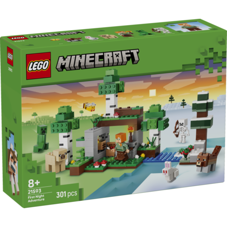 Lego Minecraft 21593 First Night Adventure