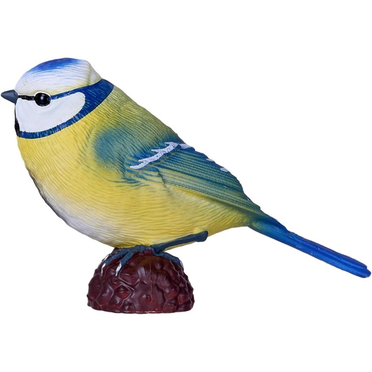 Mojo Blue Tit