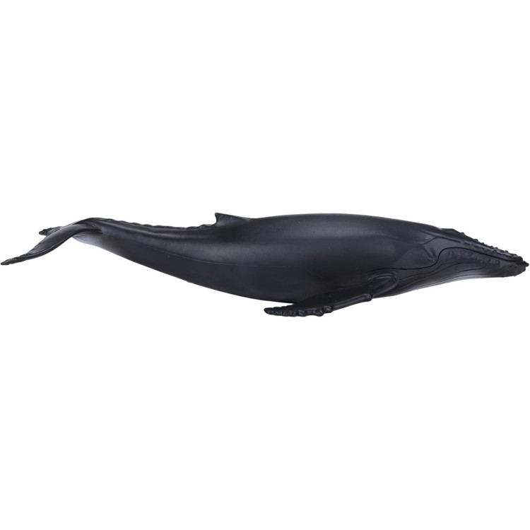 Mojo Humpback Whale
