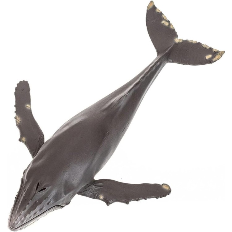 Mojo Humpback Whale XL