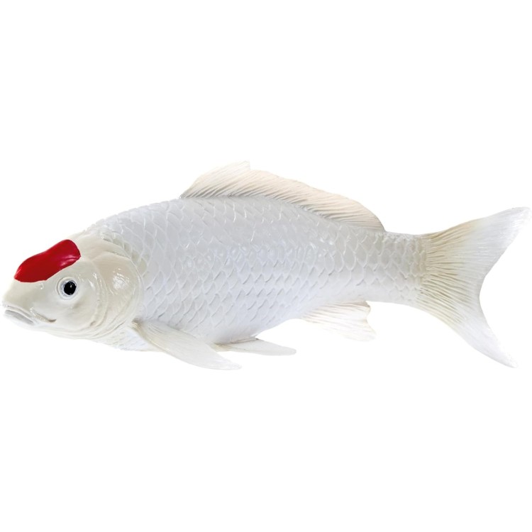Mojo Koi Carp - Tancho Koi