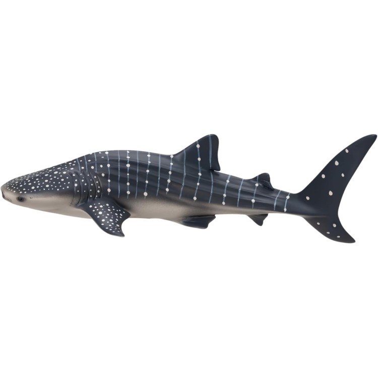 Mojo Whale Shark