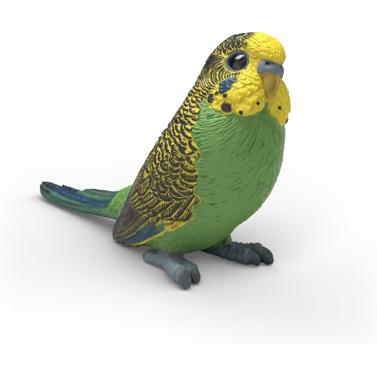 Schleich Budgie