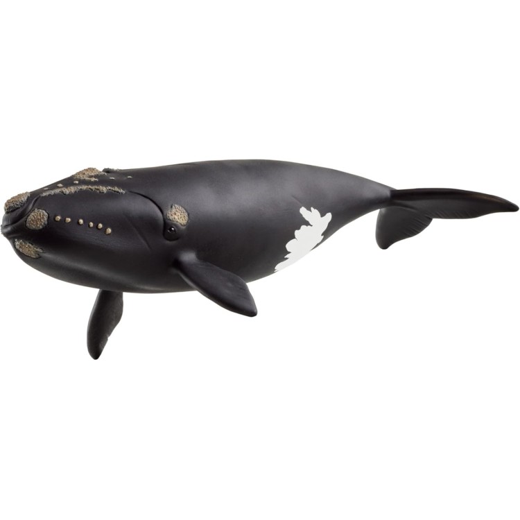 Schleich North Atlantic Right Whale