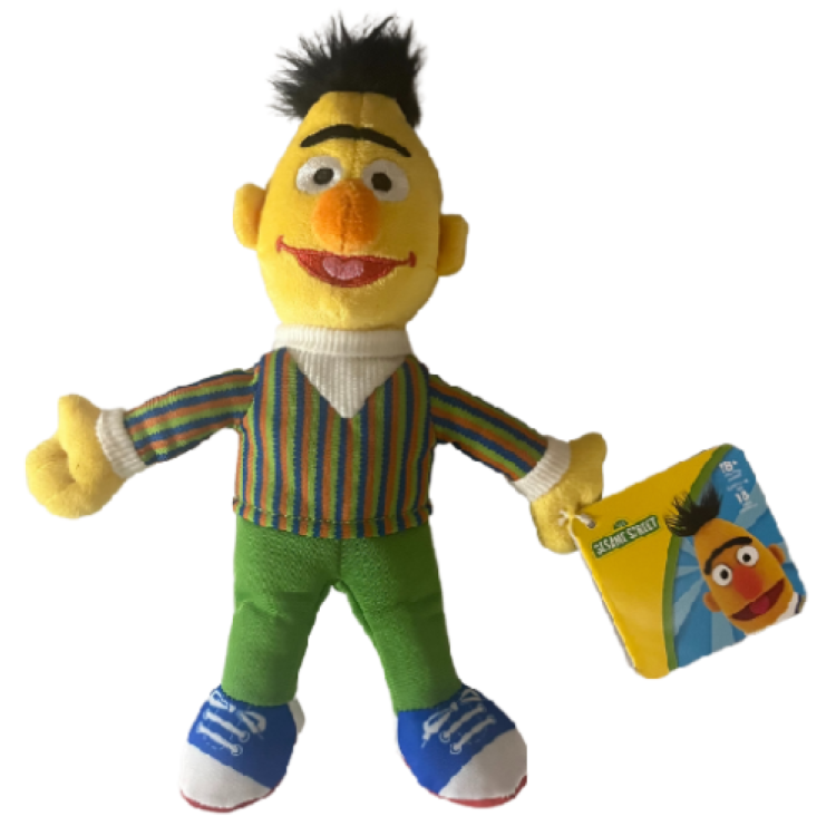 Sesame Street Friends Bert 8